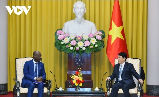 Togo, Vietnam elevate bilateral ties ahead of diplomatic milestone